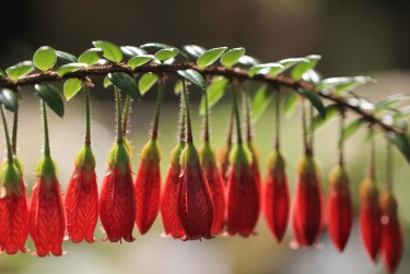 佛山顺德区8私人快速借钱网，轻松解决资金难题