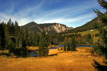 佛山顺德区8民间私贷攻略：揭秘低成本借贷的秘密