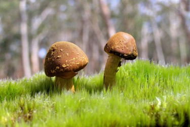 佛山顺德区8私人老板放款：轻松融资的秘密通道